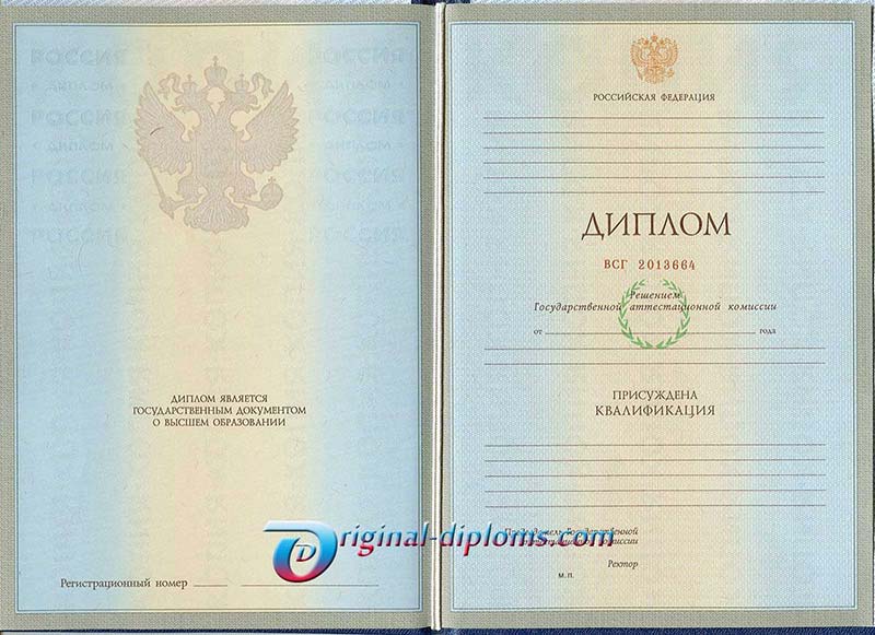 Диплом специалиста 2004-2008