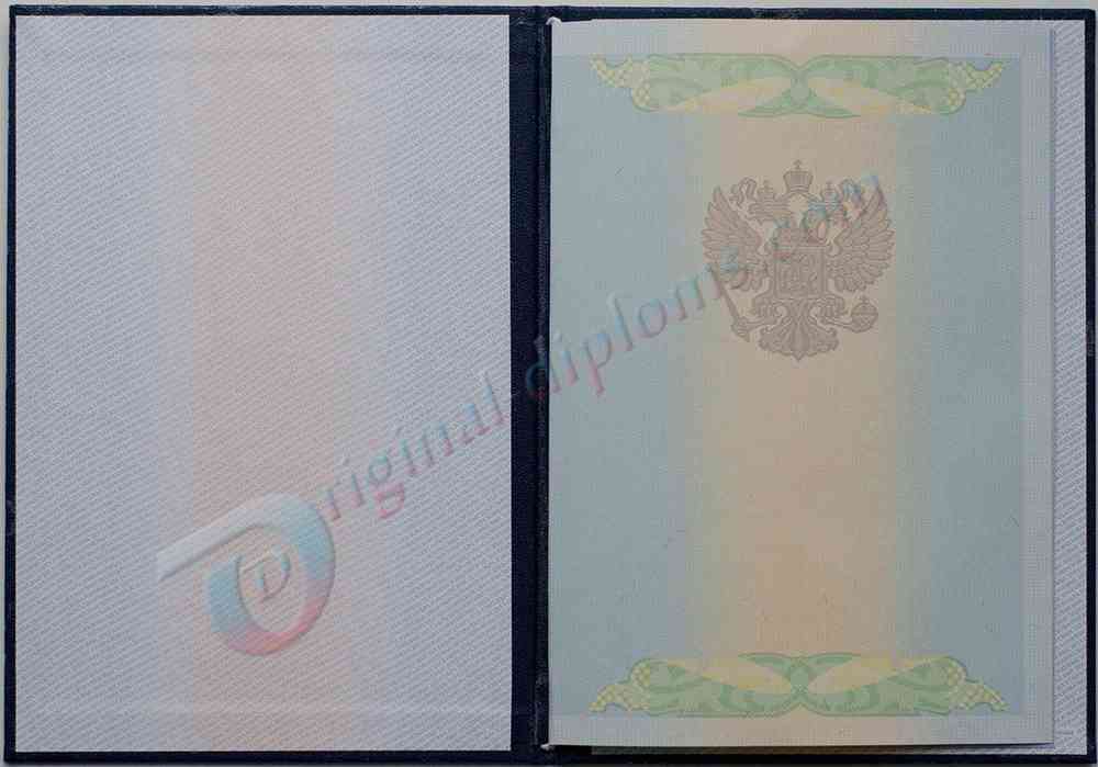 Диплом магистра 2009-2011